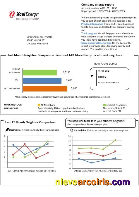 USA Minnesota Xcel Energy business utility bill